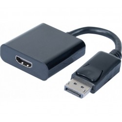 Adaptateur Display Port  vers HDMI