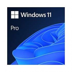 Microsoft Windows 11 Professionnel 64Bits (oem)