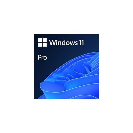 Microsoft Windows 11 Professionnel 64Bits (oem)