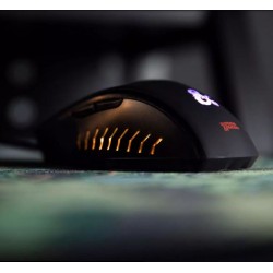Souris DUNGEONS&DRAGONS GAMING MOUSE FOR PC